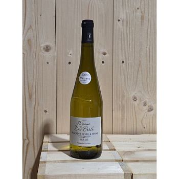 Muscadet sèvre & Maine